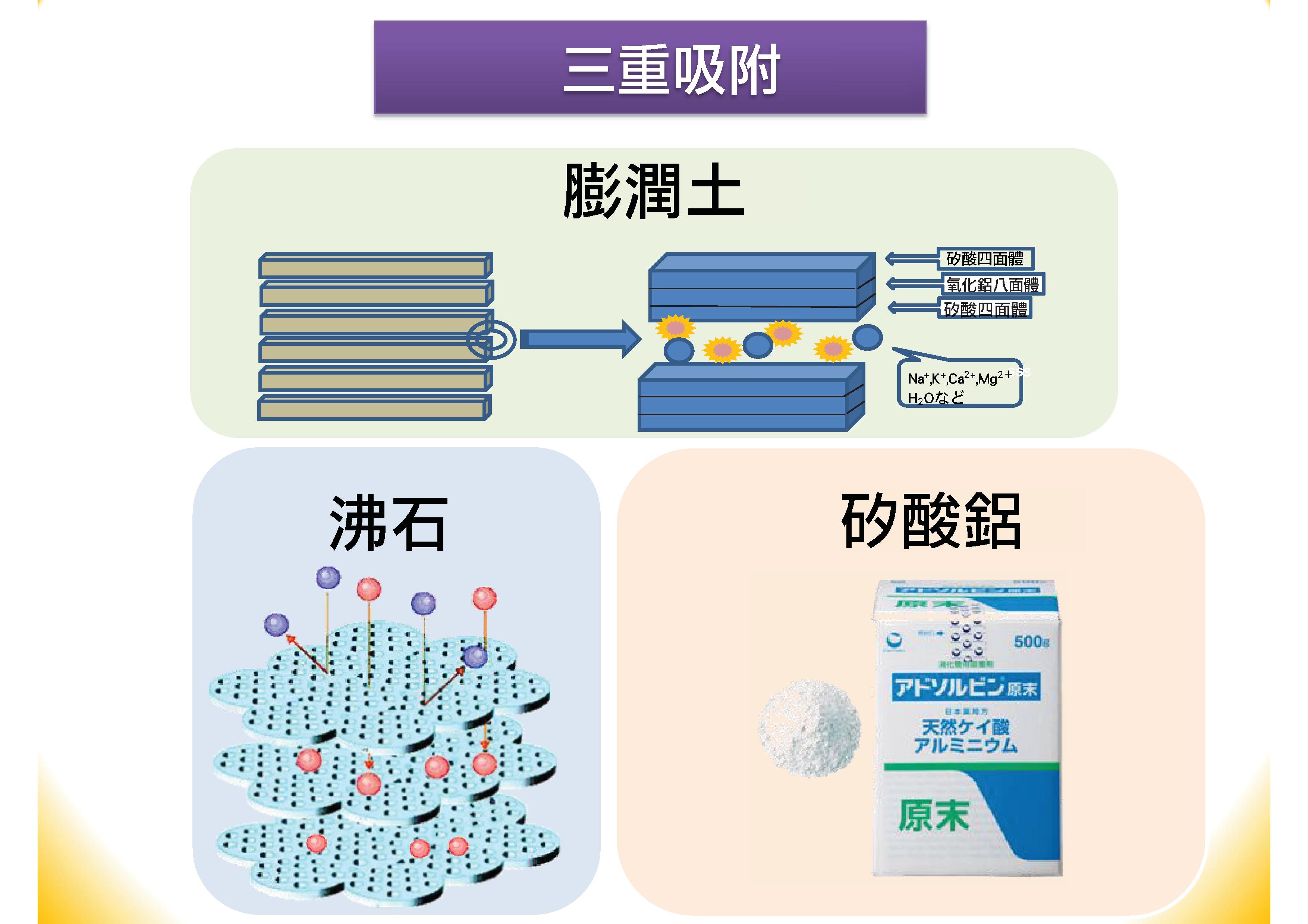 肝寶吸附劑簡報(中文).pdf00015