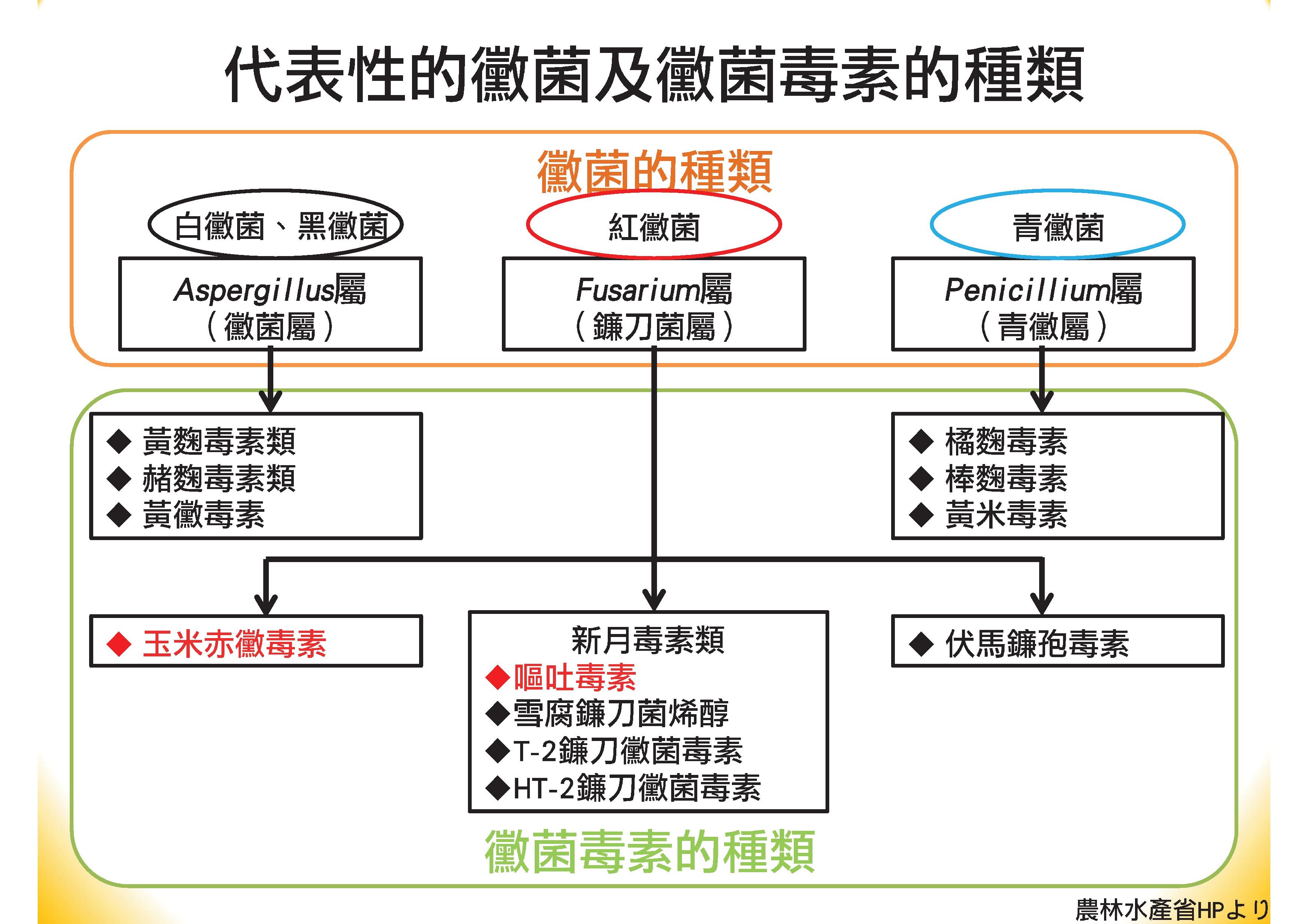 肝寶吸附劑簡報(中文).pdf00017
