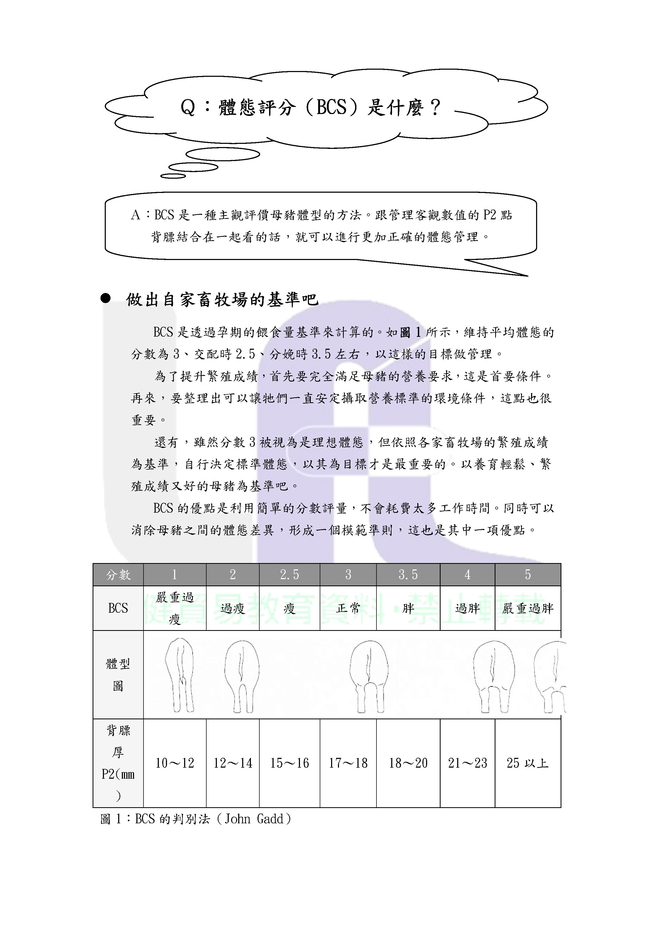 第6集-體態評分（BCS）是什麼？