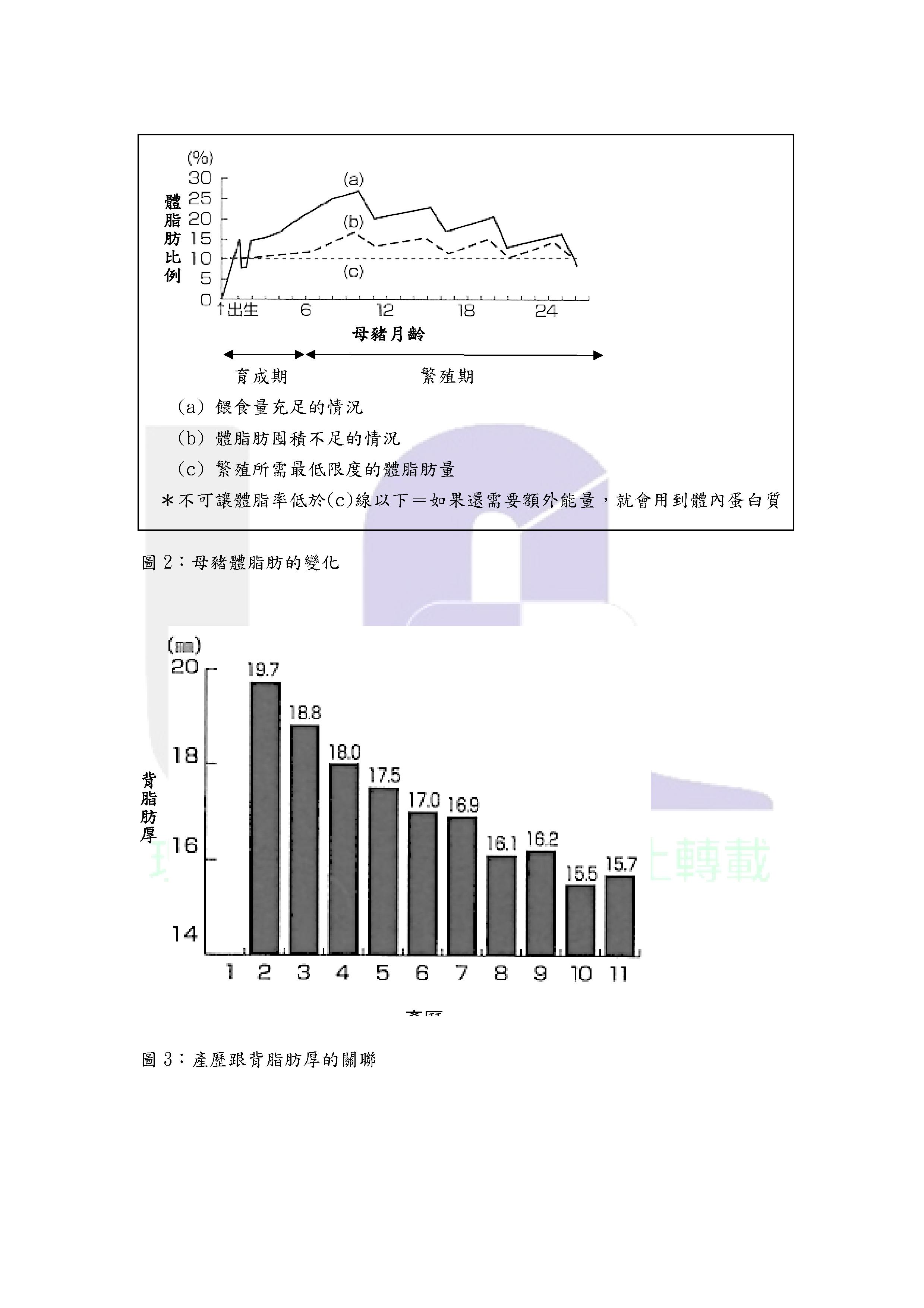 第6集-體態評分（BCS）是什麼？0002