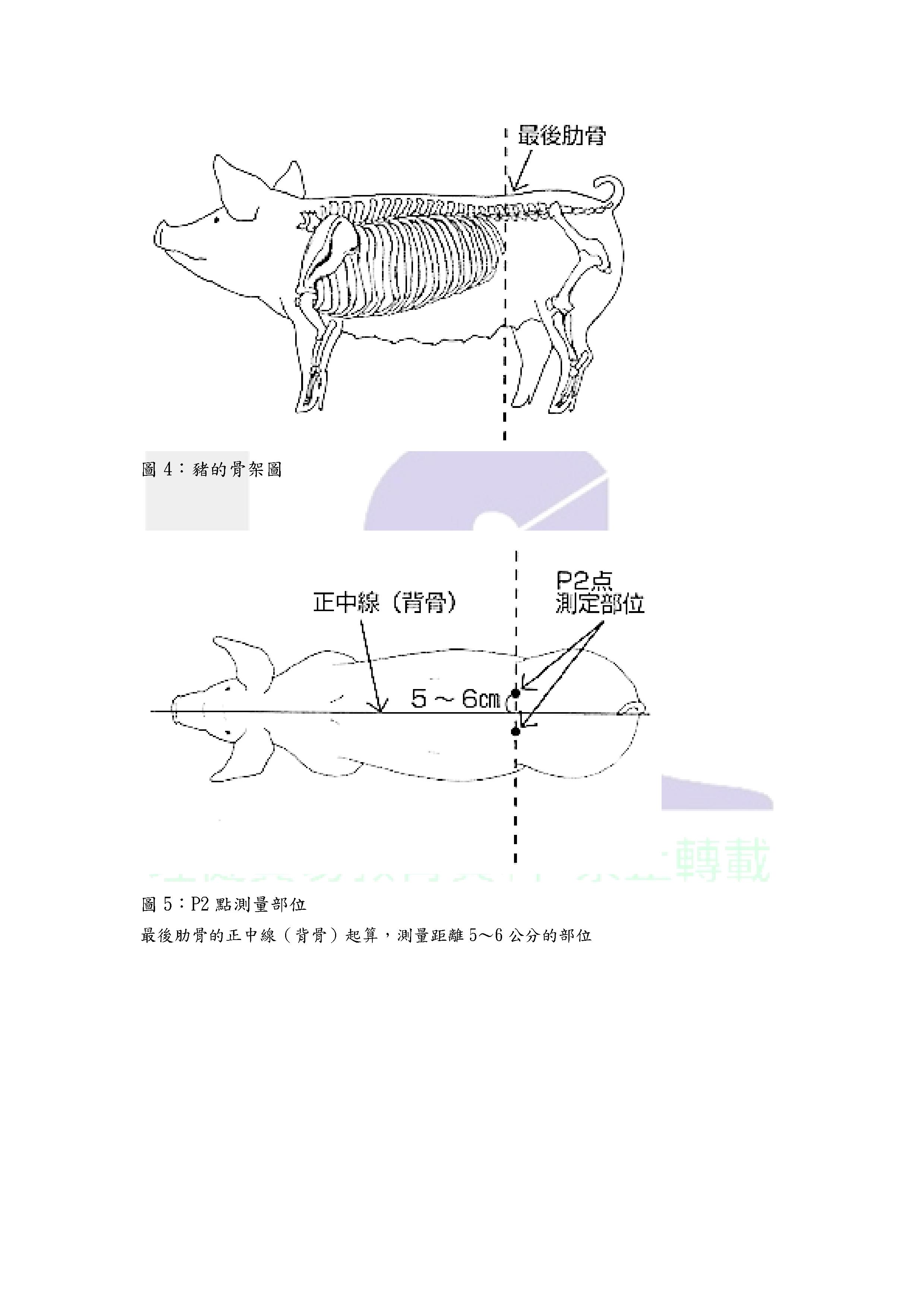 第6集-體態評分（BCS）是什麼？0003